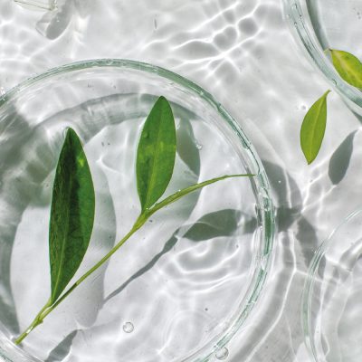 skincare ingredients leaf in water